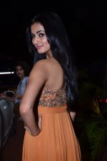 Sonal Chauhan on Day 4 at AVBFW 2013 on 2nd Dec 2013